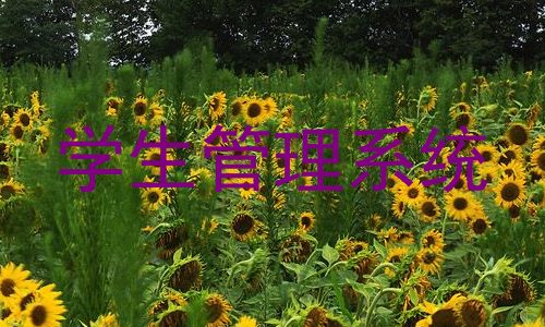 学生管理系统
