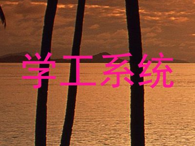 学工系统