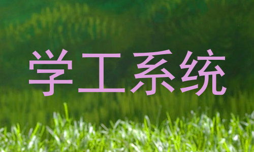 学工系统