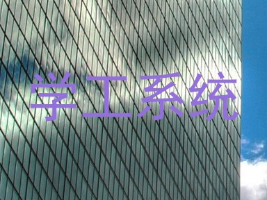 学工系统