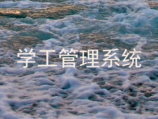 学工管理系统