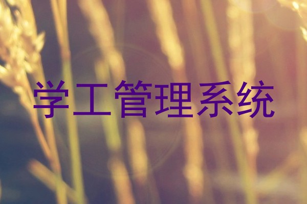 学工管理系统