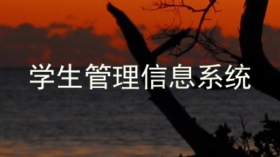 学生管理信息系统