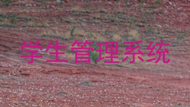 学生管理系统