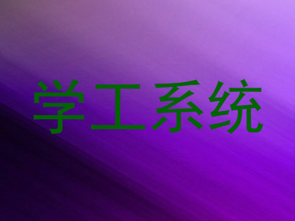 学工系统