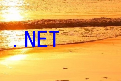 .NET
