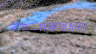 学生工作管理系统