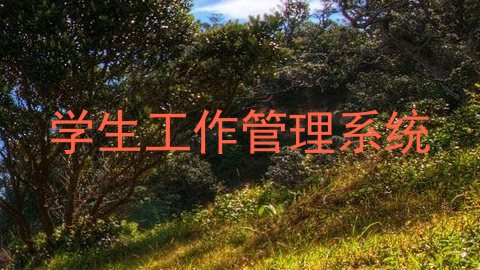 学生工作管理系统