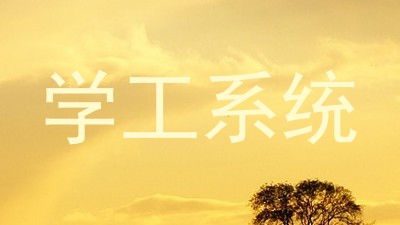 学工系统