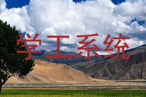 学工系统
