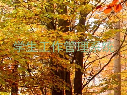 学生工作管理系统