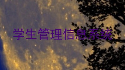 学生管理信息系统
