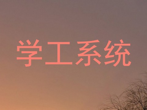 学工系统