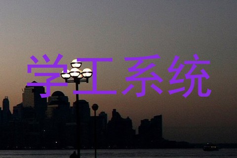 学工系统
