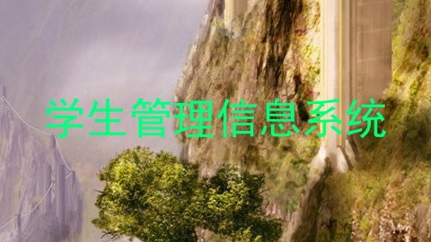 学生管理信息系统