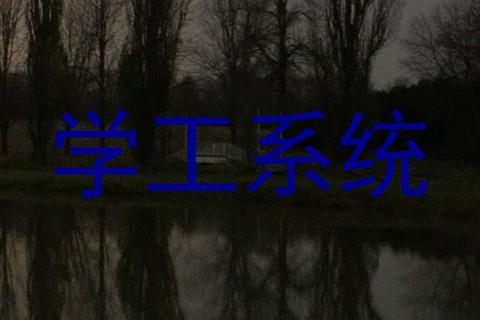 学工系统