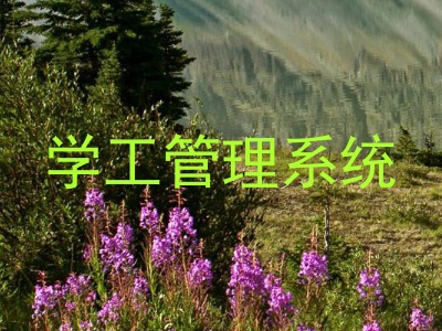 学工管理系统