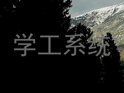 学工系统