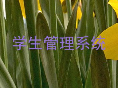 学生管理系统