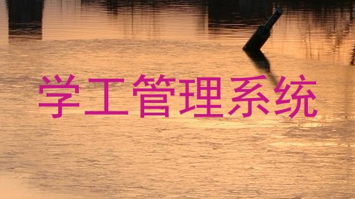 学工管理系统