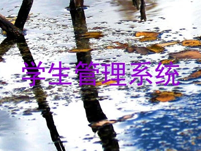 学生管理系统