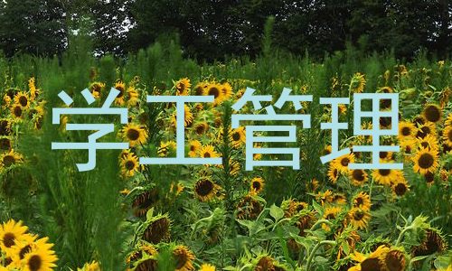 学工管理