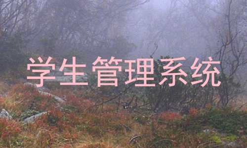学生管理系统