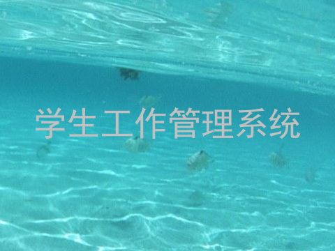 学生工作管理系统