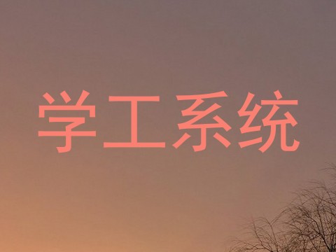 学工系统