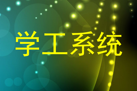 学工系统