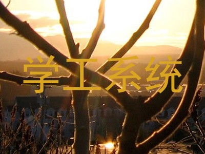 学工系统