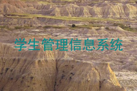 学生管理信息系统