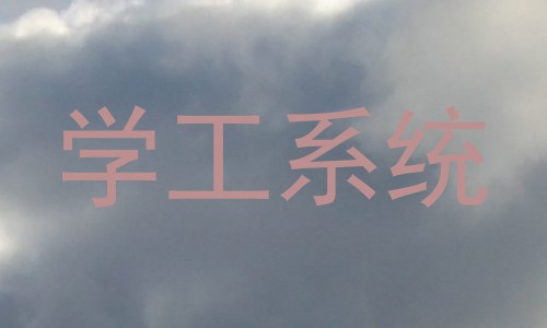 学工系统