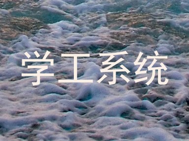 学工系统