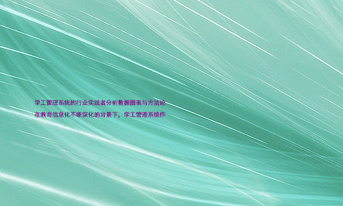 学工管理系统的行业实践者分析数据图表与方法论
在教育信息化不断深化的背景下,学工管理系统作