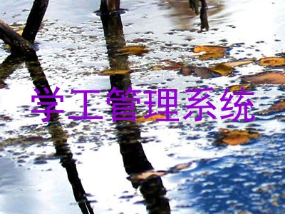 学工管理系统