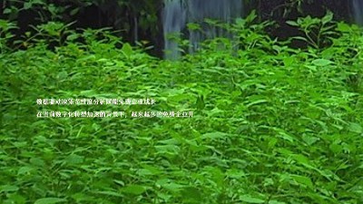 数据驱动决策多维度分析赋能免费企业成长
在当前数字化转型加速的背景下,越来越多的免费企业开