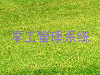 学工管理系统