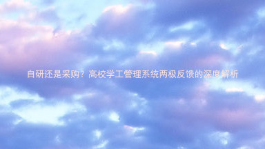 自研还是采购?高校学工管理系统两极反馈的深度解析