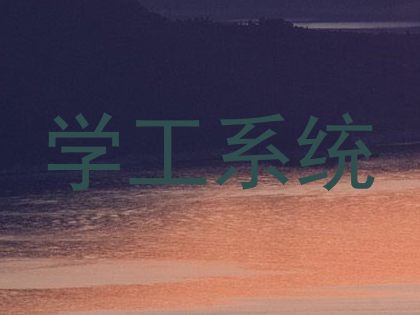 学工系统