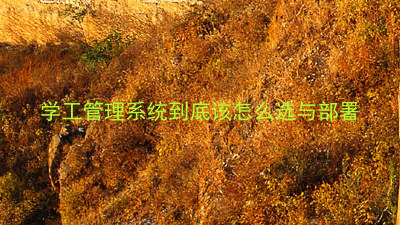 学工管理系统到底该怎么选与部署