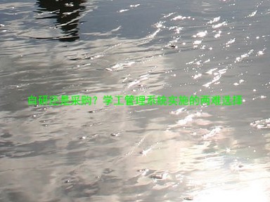 自研还是采购?学工管理系统实施的两难选择