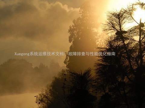 Xuegong系统运维技术文档:故障排查与性能优化指南