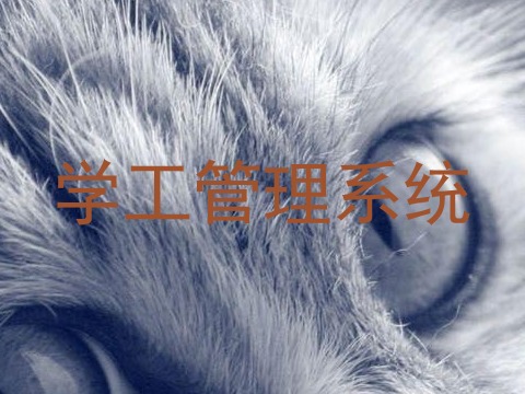 学工管理系统