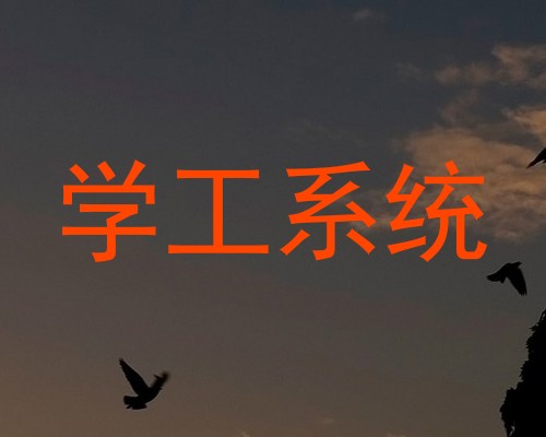 学工系统