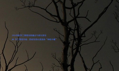 2024高校学工管理系统痛点与优化路径
## 学工管理系统:高校信息化建设的“神经中枢”