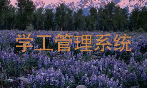学工管理系统