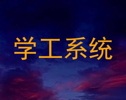学工系统