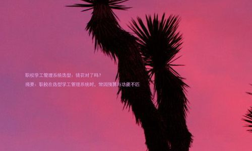 职校学工管理系统选型:钱花对了吗?
摘要:职校在选型学工管理系统时,常因预算与功能不匹
