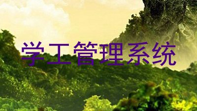 学工管理系统